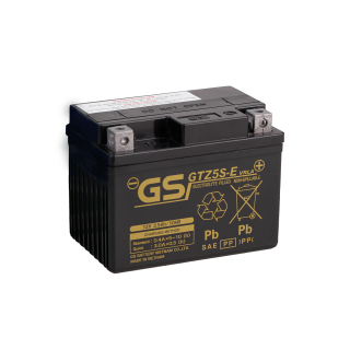 ẮC QUY GS MF 12V 3.5Ah (10HR), Model: GTZ5S-E