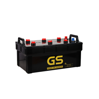 ẮC QUY GS NƯỚC 12V 220Ah (20HR), Model: N220
