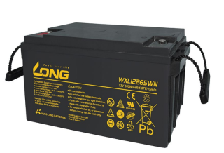 ẮC QUY KÍN KHÍ (VRLA AGM) LONG 12V-265WPC-1.67VPC-15Min, WXL12265WN, F18-M8